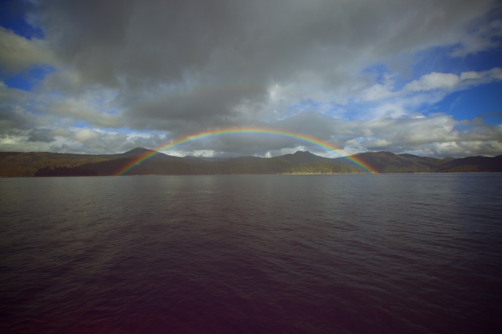 After the rain, Image credit: Mick Ross